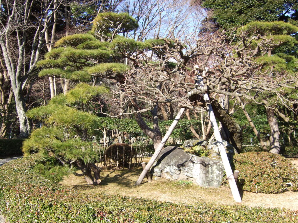 庭木 剪定 庭木の手入れ 伐採 原村・茅野市・富士見町・北杜市