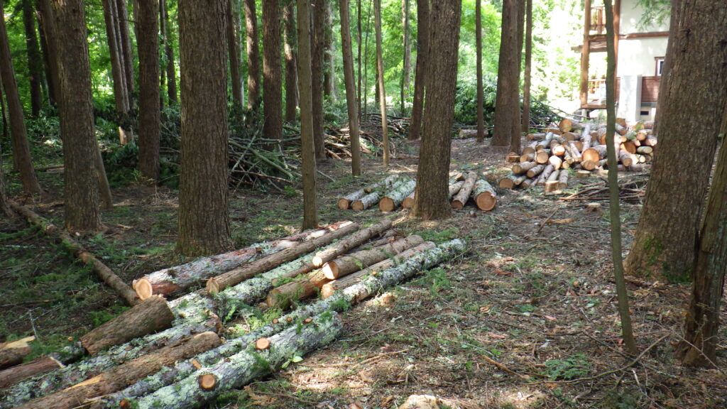 伐採・剪定・枝降ろし 原村・茅野市・富士見町・北杜市