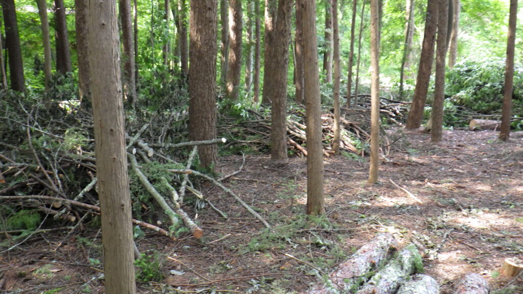 伐採・剪定・枝降ろし 原村・茅野市・富士見町・北杜市