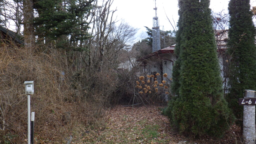 伐採・剪定・高枝降ろし 茅野市・原村・富士見町・北杜市
