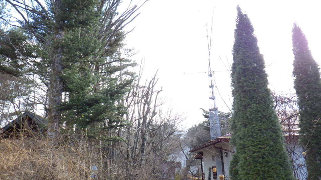 伐採・剪定・高枝降ろし 茅野市・原村・富士見町・北杜市