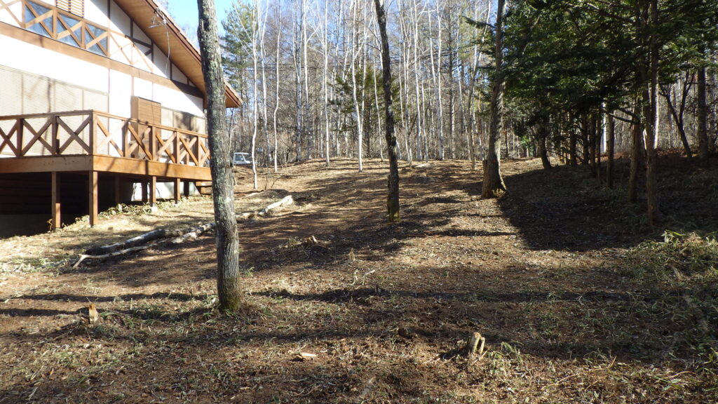 伐採・剪定・枝降ろし 原村・茅野市・富士見町・北杜市