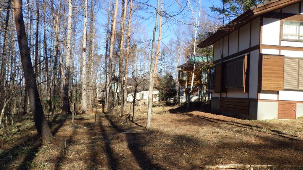 伐採・剪定・枝降ろし 原村・茅野市・富士見町・北杜市
