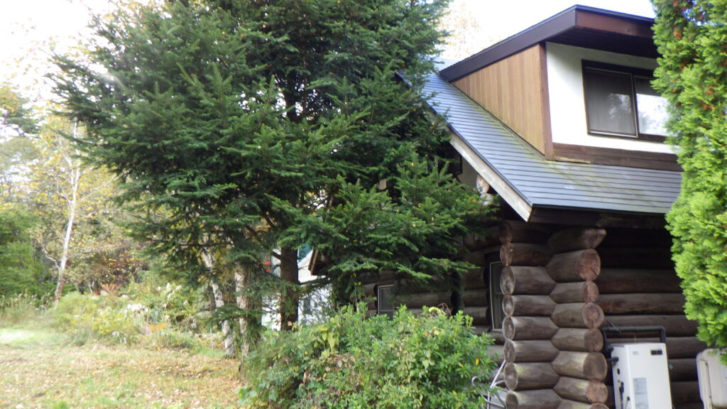 伐採・剪定・枝降ろし　原村・茅野市・富士見町・北杜市