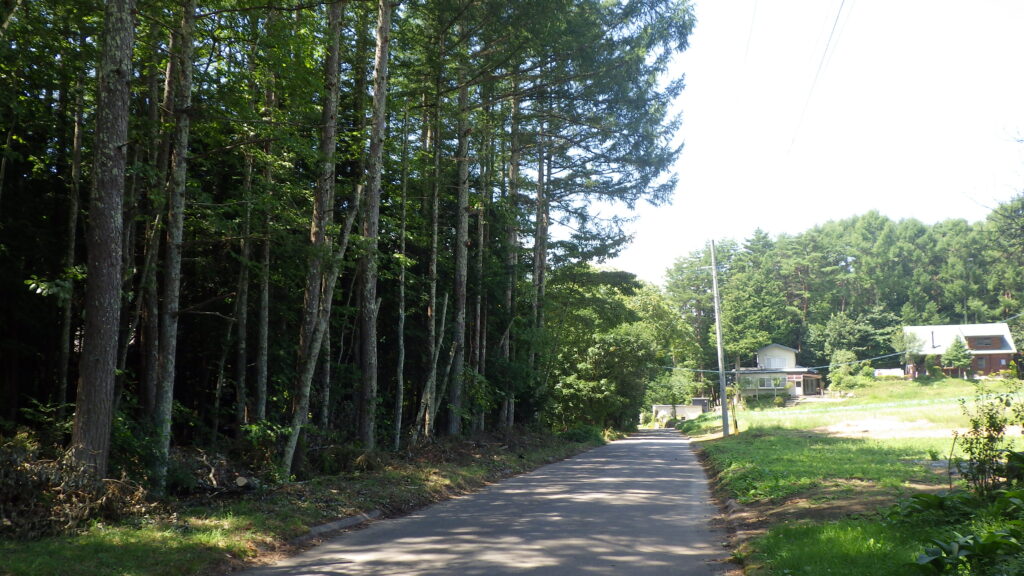 伐採・剪定・枝降ろし 原村・茅野市・富士見町・北杜市