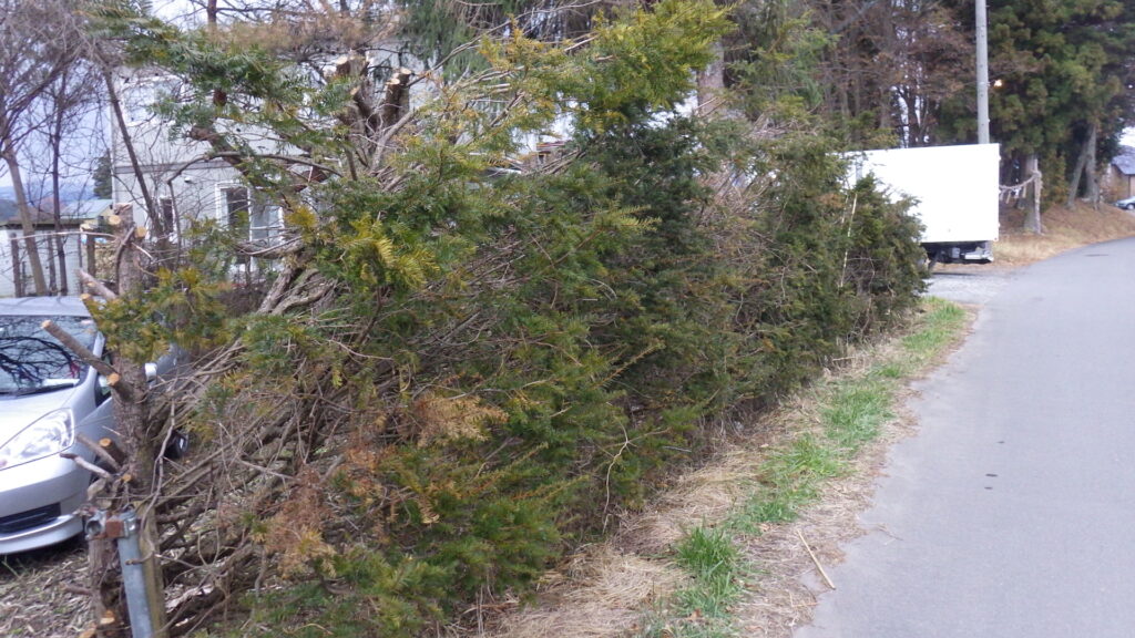 伐採・剪定・枝降ろし 原村・茅野市・富士見町・北杜市