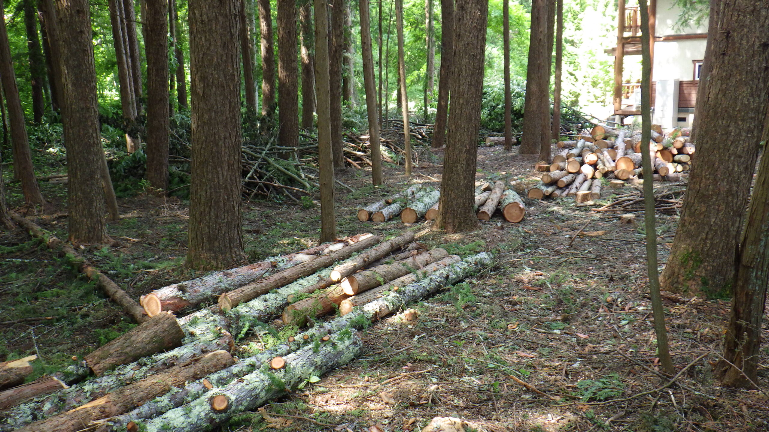 伐採・剪定・枝降ろし　原村・茅野市・富士見町・北杜市